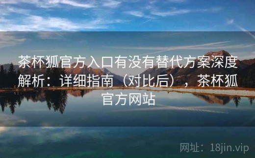 茶杯狐官方入口有没有替代方案深度解析：详细指南（对比后），茶杯狐官方网站