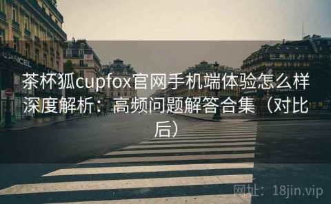 茶杯狐cupfox官网手机端体验怎么样深度解析：高频问题解答合集（对比后）