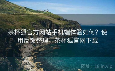茶杯狐官方网站手机端体验如何？使用反馈整理，茶杯狐官网下载