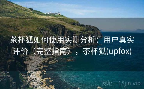 茶杯狐如何使用实测分析：用户真实评价（完整指南），茶杯狐(upfox)