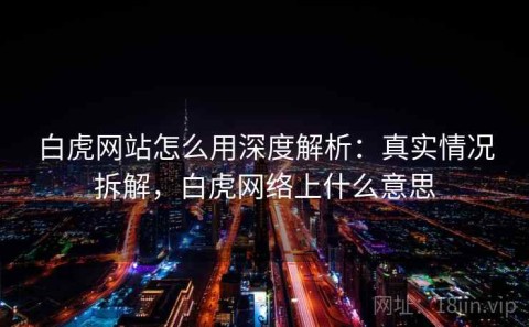 白虎网站怎么用深度解析：真实情况拆解，白虎网络上什么意思