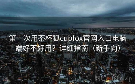 第一次用茶杯狐cupfox官网入口电脑端好不好用？详细指南（新手向）