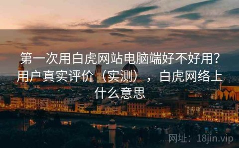 第一次用白虎网站电脑端好不好用？用户真实评价（实测），白虎网络上什么意思