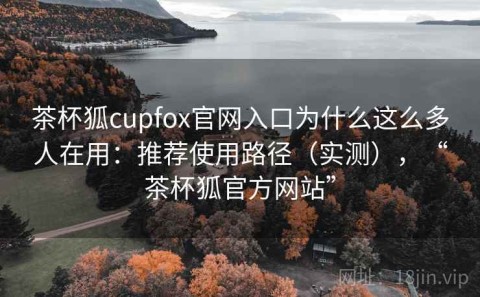 茶杯狐cupfox官网入口为什么这么多人在用：推荐使用路径（实测），“茶杯狐官方网站”