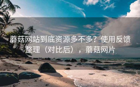 蘑菇网站到底资源多不多？使用反馈整理（对比后），蘑菇网片