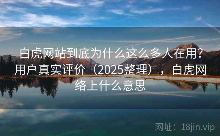 白虎网站到底为什么这么多人在用？用户真实评价（2025整理），白虎网络上什么意思