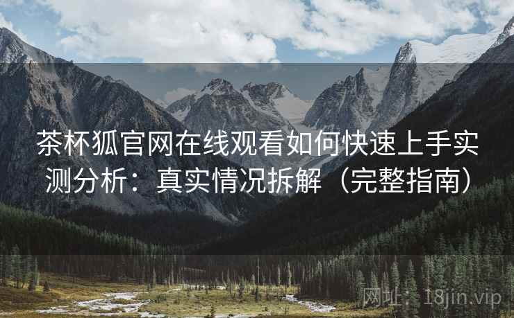 茶杯狐官网在线观看如何快速上手实测分析：真实情况拆解（完整指南）