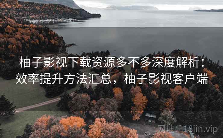 柚子影视下载资源多不多深度解析：效率提升方法汇总，柚子影视客户端
