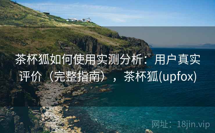 茶杯狐如何使用实测分析：用户真实评价（完整指南），茶杯狐(upfox)