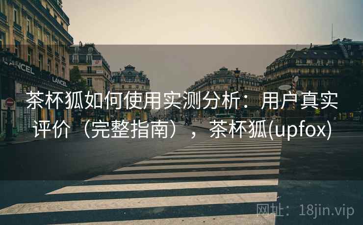 茶杯狐如何使用实测分析：用户真实评价（完整指南），茶杯狐(upfox)
