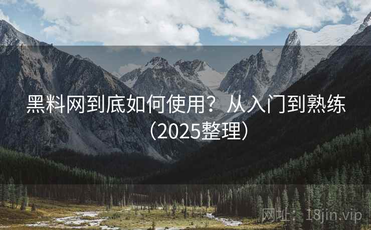 黑料网到底如何使用？从入门到熟练（2025整理）