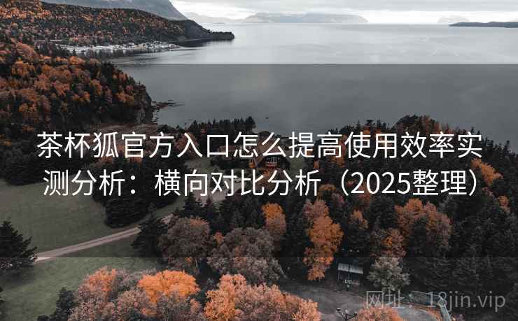 茶杯狐官方入口怎么提高使用效率实测分析：横向对比分析（2025整理）
