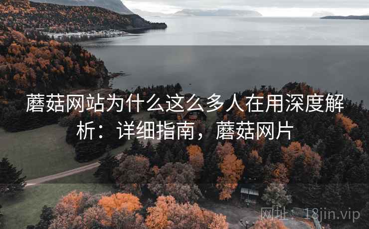 蘑菇网站为什么这么多人在用深度解析：详细指南，蘑菇网片